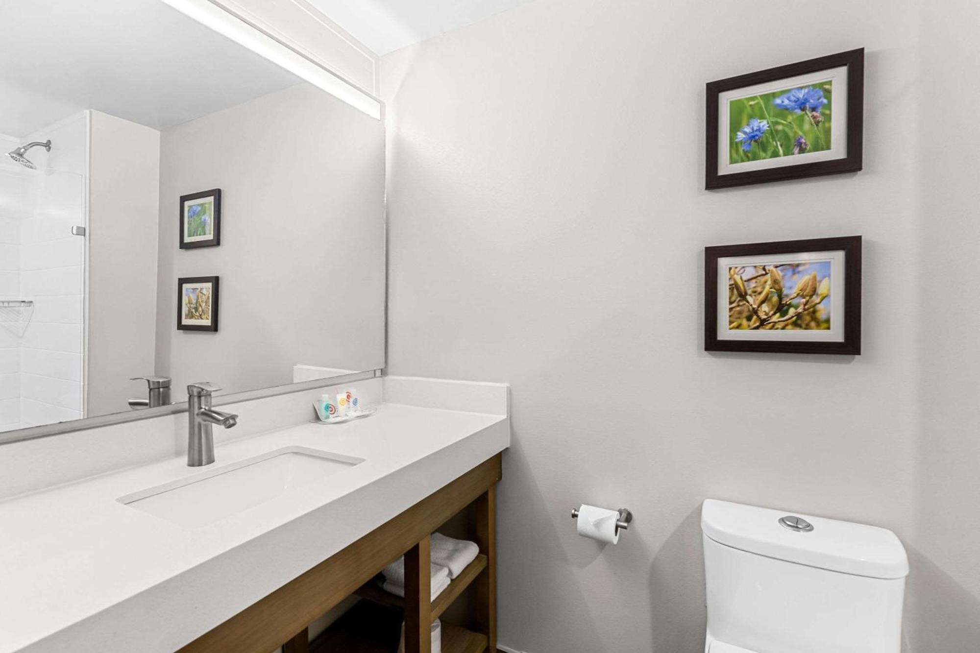Comfort Suites Кълъмбия Екстериор снимка